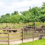 Beutenmuehle Straussenfarm Dach *