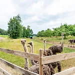 Beutenmuehle Straussenfarm Dach شقة Owingen