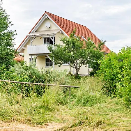 Beutenmuehle Straussenfarm Dach Owingen