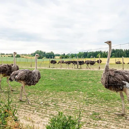 Beutenmuehle Straussenfarm Dach Апартаменты *