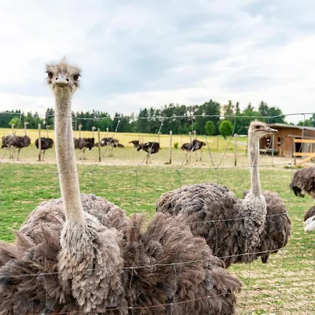 Апартаменты Beutenmuehle Straussenfarm Dach Owingen