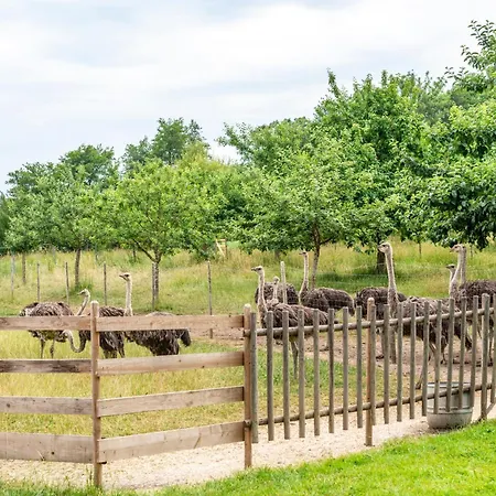 Beutenmuehle Straussenfarm Dach *
