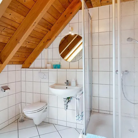 Beutenmuehle Straussenfarm Dach * Owingen
